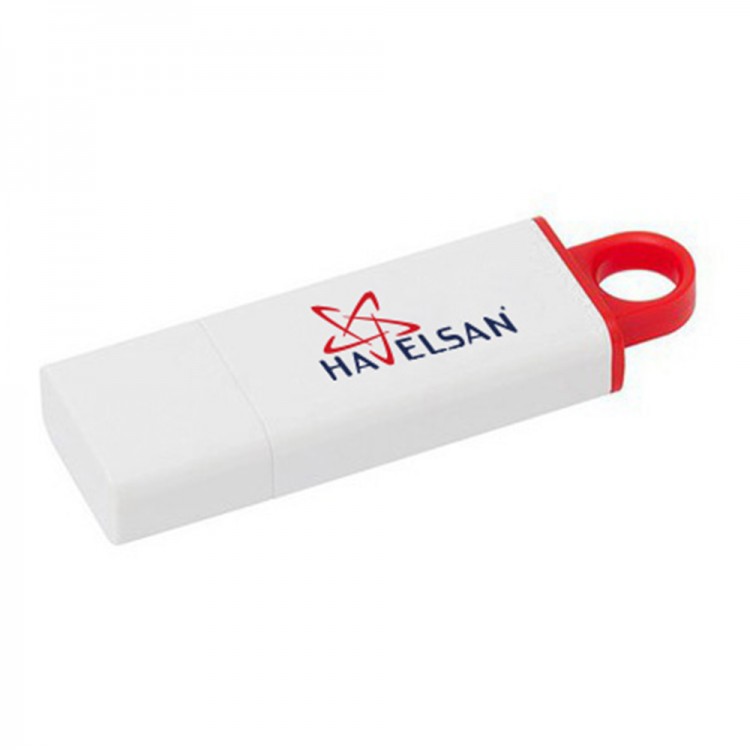 MENGÜCEKLİLER PLASTİK USB BELLEK (64 GB)