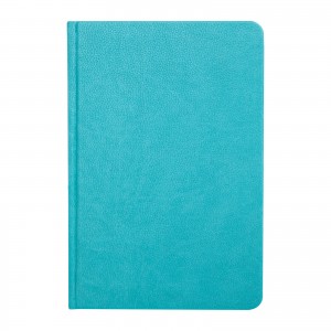 ULUS TURKUAZ TARİHLİ AJANDA (17X24 CM)