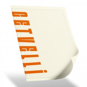 SEĞMENLER TABA KARELİ SPİRALLİ TARİHSİZ DEFTER (19X25 CM) SEĞMENLER TABA KARELİ SPİRALLİ TARİHSİZ DEFTER (19X25 CM)