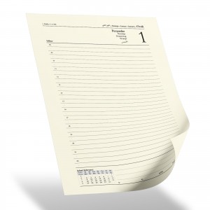 ERGAZİ TURKUAZ TARİHLİ AJANDA (17X24 CM)