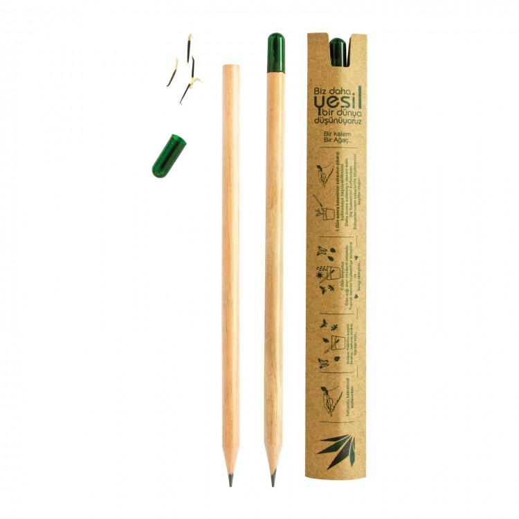 FETHİYE NATUREL TOHUMLU KURŞUN KALEM FETHİYE NATUREL TOHUMLU KURŞUN KALEM